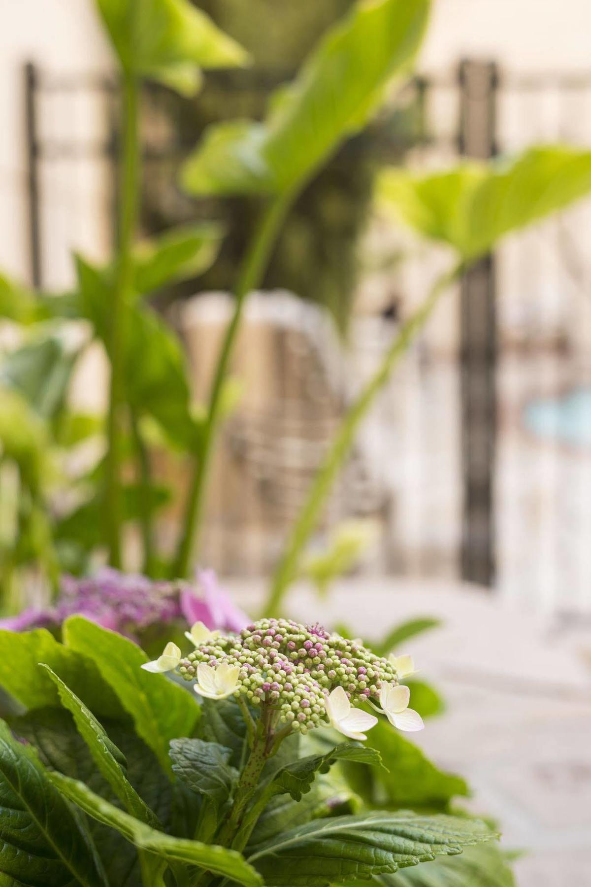 הות'ורן Ayres Hotel Manhattan Beach מראה חיצוני תמונה